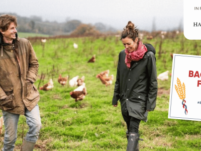 Lussmanns website header (11) Lussmanns website header (11)